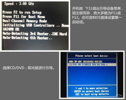 掌握核心技能 从电脑软硬件基础到研发进阶的在线培训之路